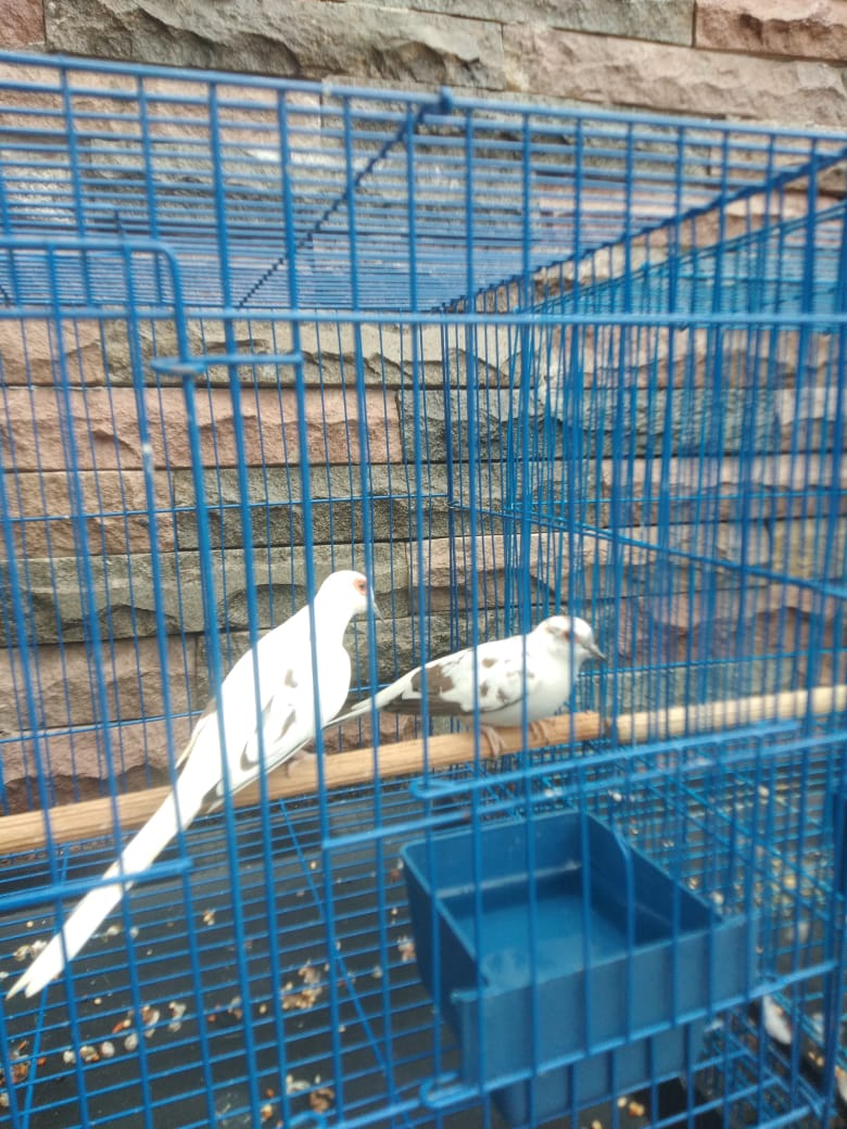 WhatsApp Image 2025-08-06 at 12.43