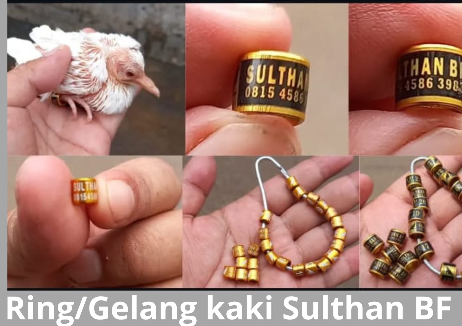 WhatsApp Image 2025-08-12 at 08.45