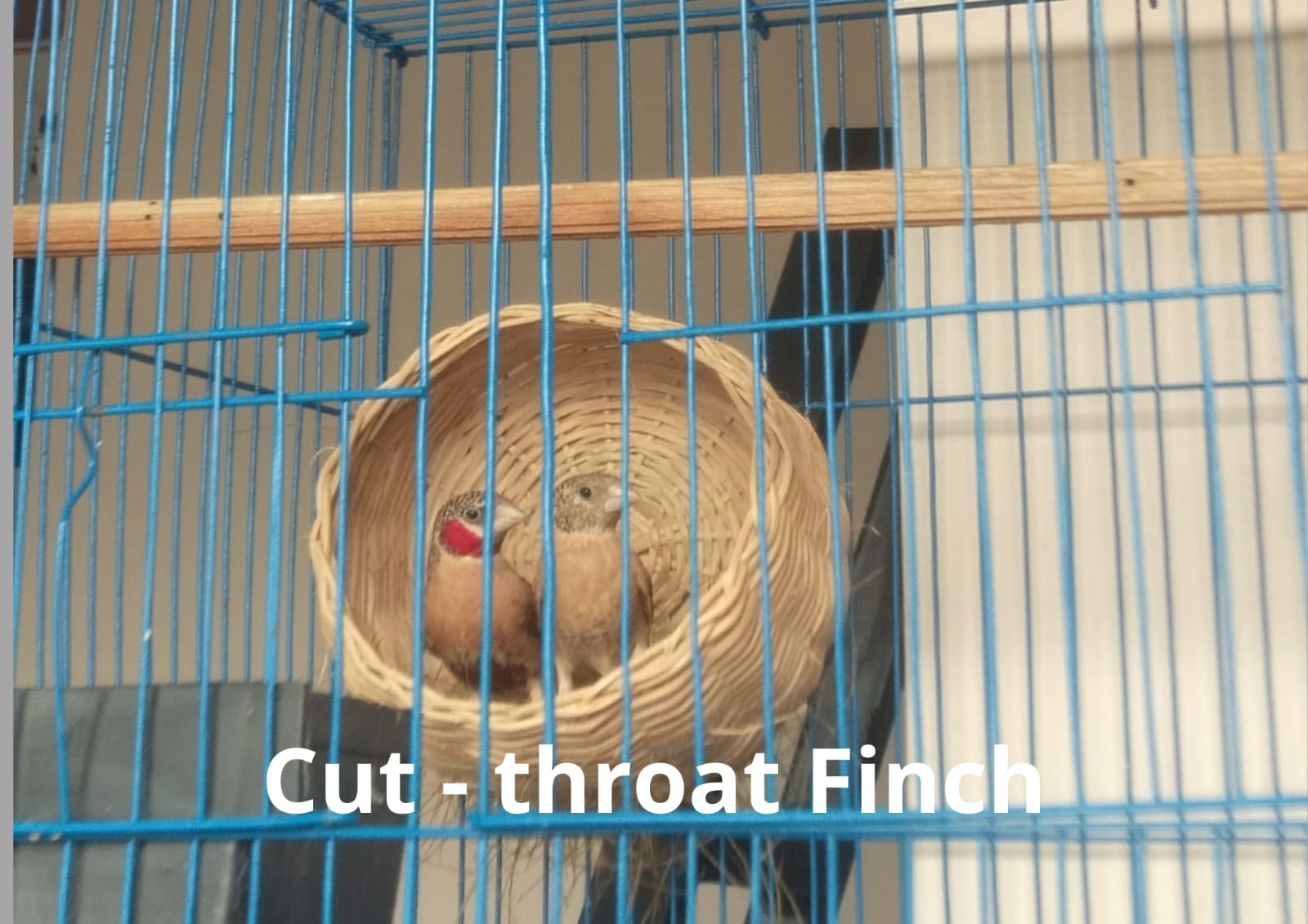 WhatsApp Image 2025-08-12 at 08.45